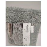 ROCYJULIN 5x7 Rug for Living Room, Area Rugs 5x7 for Bedroom, Non-Slip Carpet for Dorm Room, Fluffy Shag Rug for Playroom, Fuzzy Rug for Kids Room, Light Grey Gray Rug