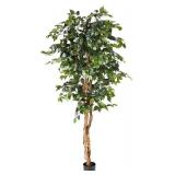 Nearly Natural 6ft. Ficus Silk Tree