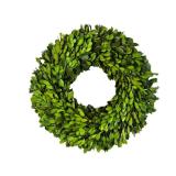 Preserved Boxwood Wreath 12 in by Tradingsmith