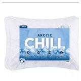 Arctic Chill Cooling Bed Pillow, 2 Pack, Standard/Queen 20" x 28"