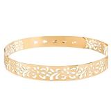 BABEYOND Metal Waistband Skinny Belt Adjustable Waist Strap Belt for Dress (Style-15-Gold, Medium)