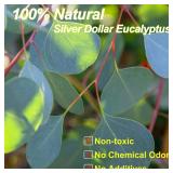 Preserved Dried Eucalyptus Stems, 7-10 Pcs Pure Natural Real Silver Dollar Leaves for Vase Filler, 15-17