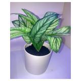 7" x 11" Artificial Variegated Leaf Arrangement - Thresholdâ¢