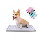 Pet Awesome Dog Potty Tray/Puppy Pee Pad Holder 25âx20â Indoor Wee Training for Small and Medium Dogs