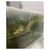 Sterilite jumbo 56 qt. container with faux greenery