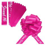 Happy Birthday Car Bow Sweet 16 Big Car Pull Bow Giant Car Gift Wrapping Bow with 20 Feet Car Ribbon for Birthday Party Car Decorations (Rose Red,25 Inch)