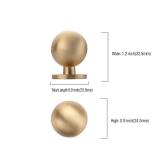 Asidrama 10 Pack Brushed Brass Kitchen Cabinet Knobs, Cabinet Knobs Kitchen Cabinet Hardware for Cupboard Drawer Knobs Dresser Knobs