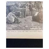 Texan Cattle in a Kansas corn corral and The Central State pages