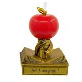 Hallmark Ornament (#1 Teacher Trophy)