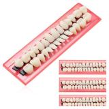 4 Sets Acrylic Resin Fake Teeth Denture Replacement Teeth False Teeth Teeth Upper and Lower Synthetic Resin Teeth for Halloween Party Replacement, 112 Pieces, 23 A2