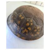 Box turtle reproduction of oak wood knot sculpture, 3 pc. frog sculpture handmade in Kenya, metal wall decor and stones