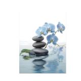 CCWACPP Zen Wall Art Spa Stone and Elegant Blue Orchid Flower on the Water Picture Canvas Prints Artwork Relax Zen Spa Meditation Room Decor (12x18inch)