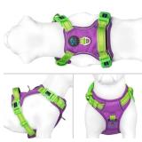 PHOEPET No Pull Dog Harness, Unique Colors Reflective Adjustable Dog Vest, with Soft Training Handle Metal Clips for Small Medium Large Dogs (Purple Base & Green Straps,Size S)