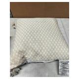 20 in. x 20 in. Beige Square Outdoor Throw Pillow with Tassel