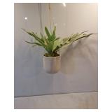 12" Hanging Staghorn Fern Artificial Plant - Thresholdâ¢