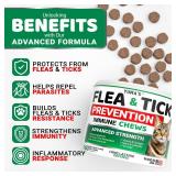 Flea Treatment for Cats - Flea and Tick Prevention for Cats - 160 Treats - Natural Cat Flea and Tick Treatment Pills - Soft Oral Cat Flea Treatment for Kittens - All Breeds & Ages - Made in USA