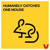 Victor M337SR-4 Live Catch Humane Mouse Trap - 4 Traps