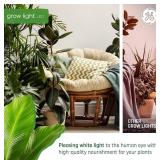 New GE Grow LED Light Bulb, PAR38 Flood Light, Indoor LED Grow Light for Plants, Seeds and Greens, Balanced Light Spectrum, 25,000 Hours Lifespan, 50 PPF, 1 Pack