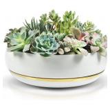 Large Succulent Planter with Drainage Tray   10 Inch White Bowl with Metallic Gold   Modern Bonsai, Cactus, & Succulent Pot with Saucer   No Plants Included