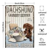 Metal Signs Dachshund Laundry Service Tin Signs Vintage Retro Bar Club Cave Home Kitchen Wall Decor 12x8 Inches