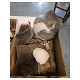 Box of miscellaneous bones, rocks, and pottery shards