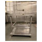 Stainless Steel 2 Tier Rolling Table