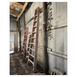 Werner 10ft Orange Ladder