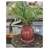 Potted Fern Arrangement