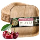 brheez Palm Leaf Plates Small 4" Disposable Plates 25 Pack Sturdy Bamboo Party Plates Leakproof for Small Appetizers Desserts and Miniatures