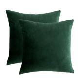 RainRoad Velvet Decorative Throw Pillow Covers Cushion Cover Pillow Case for Sofa Couch Bed Chair,Soft Square Dark Green Throw Pillows 18x18 Inch,Set of 2