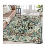 6 x 9 Area Rug