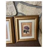 Floral Framed Pictures