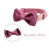 ARING PET Bowtie Dog Collar-Velvet Dog Collars with Removable Bowtie, Cute & Comfortable Dog Collar.