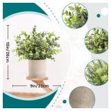 Der Rose 3 Pack Mini Potted Fake Plants Artificial Plastic Eucalyptus Plants Topiaries for Home Office Desk Farmhouse Room Decor