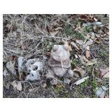 Stone Frog garden decor and 2- rocks