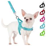 SlowTon No Pull Small Dog Harness and Leash Set, Puppy Soft Vest Harness Neck & Chest Adjustable, Reflective Lightweight Harness & Anti-Twist Pet Lead Combo for Small Medium Dogs(BL-Front Clip,S)