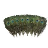 A 12 PCS Real Natural Peacock Eye Feathers 10-12 inch for DIY Craft, Wedding and Holiday Decorations