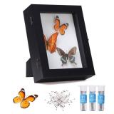 IHEIPYE Insect Display Case Wall Mount Bug Display Case Collection Box for Butterfly Specimen with Anti Fade UV Protection Acrylic Top Eva Foam Pinning Board and 3 Sizes Pins Insect Shadow Box