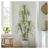 Yepdin Artificial Dracaena Tree, 5 ft Tall Fake Yucca Plants with Pot, Faux Dracaena Silk Plants Indoor, Realistic Artificial Trees Decor for Home Office Living Room Decor Indoor Outdoor - Retail: $84