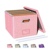 Oterri File Organizer Box,Filing Box with Lid,File Box for Letter/Legal File Folder Storage, Portable Hanging File Box for Office/Decor/Home,1 Pack,New pink Box only