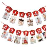 Farm Animal Theme Photo Banner 1st Birthday Monthly Banner Newborn to 12 Month Photo Display Milestone Photograph for Barnyard First Birthday Party Decorations Supplies