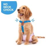 Pet Soft Dog Suspenders 2 Pieces Female Dog Diaper Suspenders for Dogs Diaper Keeper Suspender for Dog Skirt, Dog Dress (Gold & Blue, M/L)