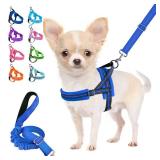 Lukovee Dog Harness and Leash Set, Soft Padded Small Dog Harness, Neck & Chest Adjustable Reflective Vest Puppy Harness with 4ft Lightweight Anti-Twist Dog Leash for Small Dogs (XX-Small, Blue)