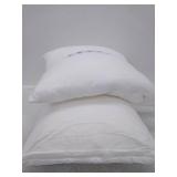 LOT Of 2 Pillows