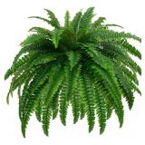 Large Fake Boston Ferns, 88 Branches Artificial Ferns, Faux Fern Plants for Home, Office, Garden Indoor Outdoor Decoration(48 inch,1pack)