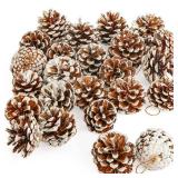 JOHOUSE 24PCS Natural White Pine Cones for Winter and Christmas Decor, Winter Vase Filler