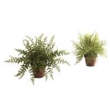 Nearly Natural Fern with Decorative Planter (Set of 2)