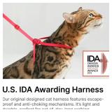 BuddyArmor Cat Harness and Leash Set - U.S. IDA Bronze Awarding Design, Escape Proof and Anti-Chocking, for Walking and Training, Lighweight for Kitten and Small Large Cat and Puppy(Armor Blue)