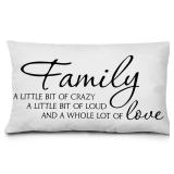 KEUSPI Funny Family Decor Pillow Cover Farmhouse Home Family Quotes Family a Little Bit of Crazy Decor Throw Pillow Cover 12x20,Family Sign Decor Pillow Cover for Farmhouse HOM Grey