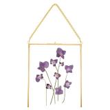 REDHUGO Hanging Pressed Flower Frames, Double Glass Floating Picture Frame Handmade, Glass Frame for Pressed Flowers, Vintage Brass Picture Frame for Artwork Wall Display Mount, Gold, 8x10 Inches